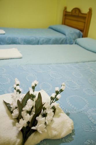 Hostal Pensi�n Aries II