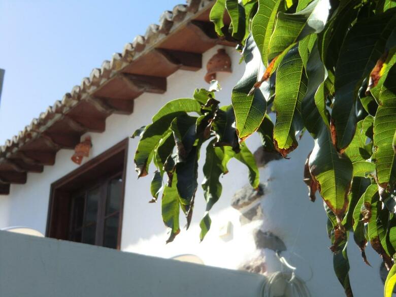 Villa Casa Los Delfines