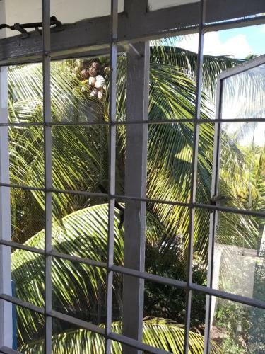 Apartamento La Rose Villa
