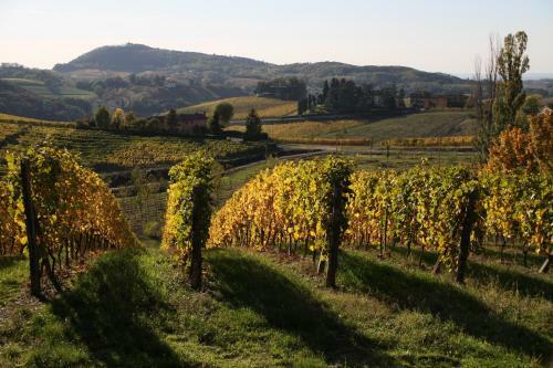 Agroturismo Agriturismo Villa Pallavicini