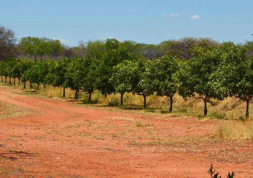 Lodge Matunda G�stefarm