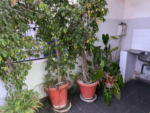 Apartamento La Case