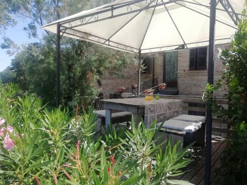 Apartamento Tenuta Tredici Ulivi