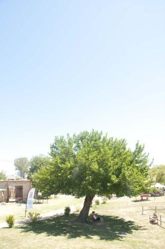 Apartamento Tenuta Tredici Ulivi