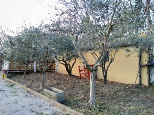 Agroturismo Barbagianni