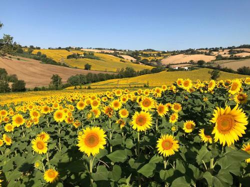 Agroturismo Casale Villa Sofia
