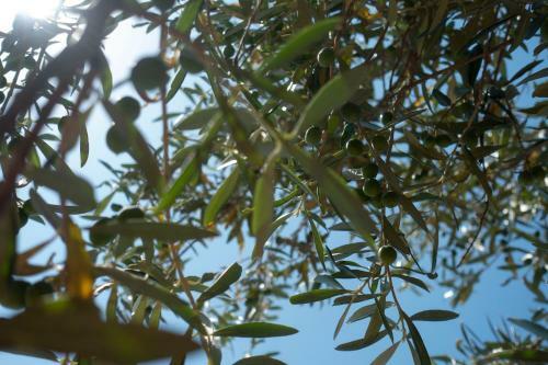 Appartamento In Campagna A Sciacca