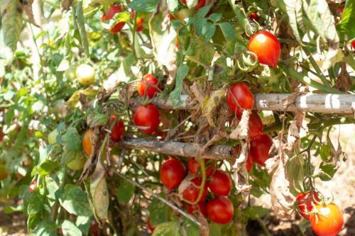 Appartamento In Campagna A Sciacca
