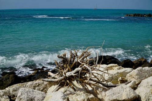 Apartamento Il Mare In Un Bicchiere