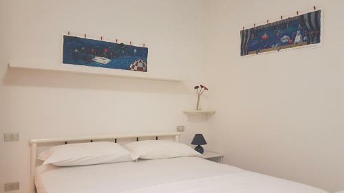 G -suite Senigallia