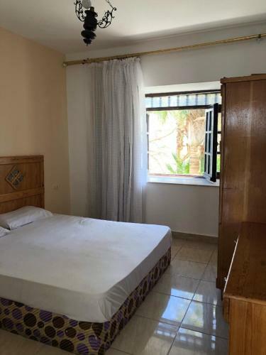 Sharm Holidays Apartment