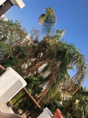 Sharm Holidays Apartment
