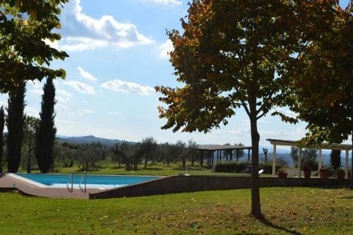 Apartments In Asciano/toskana 24096