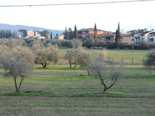 B&B Querceto