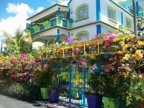Apartamento Lapiroguevilla