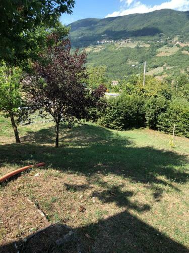 Capannina Vesale
