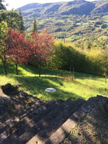Capannina Vesale
