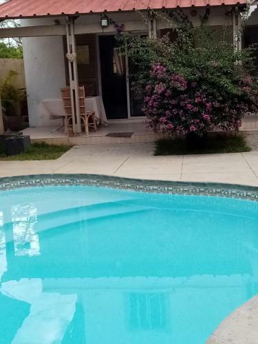 Chez Nous