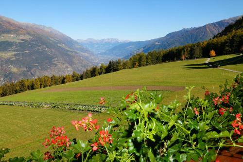 Agroturismo Bauernhof Mairing