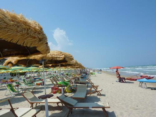 Apartamento Edera Silvi Vacanza