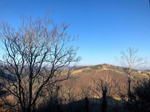 Hotel Il Borgo Di Olive