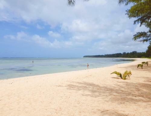 Villa Palais Neville