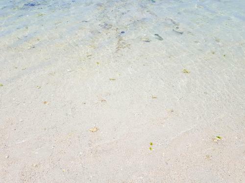 Villa Palais Neville