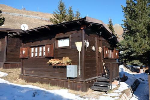 Cozy Bungalow