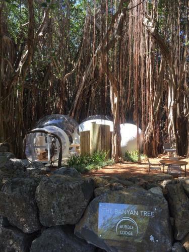 Bubble Lodge Ile Aux Cerfs Island