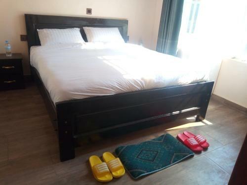 Hostal Green River House