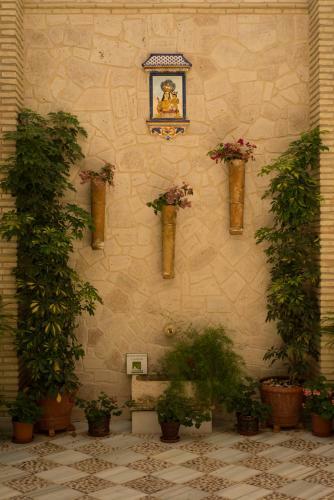 Apartamento Posada De Momo