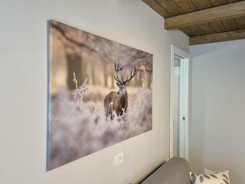 Moda Apartments - Serenella G1