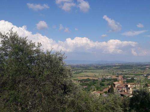 Agroturismo La Casina Degli Ulivi
