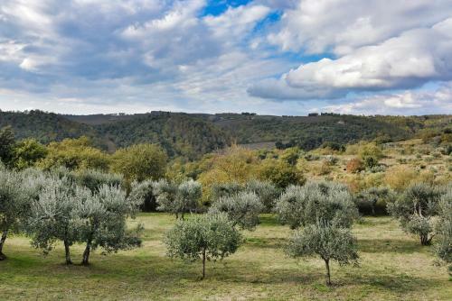 Agroturismo La Casina Degli Ulivi