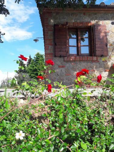 Agroturismo La Casina Degli Ulivi
