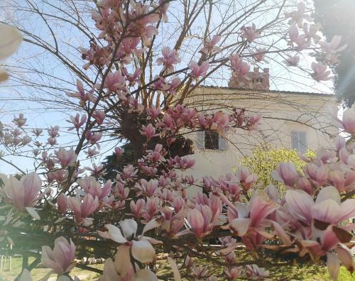 Maison Tuscany Bed&breakfast