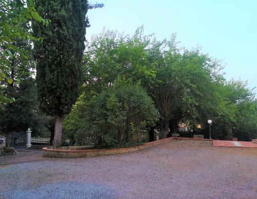 Maison Tuscany Bed&breakfast