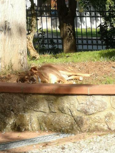 Maison Tuscany Bed&breakfast