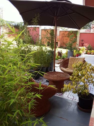 Hostal Palm Guest House