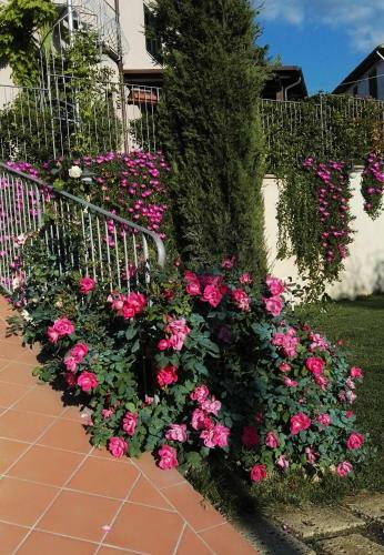 Apartamento All'aia Bianca 1868