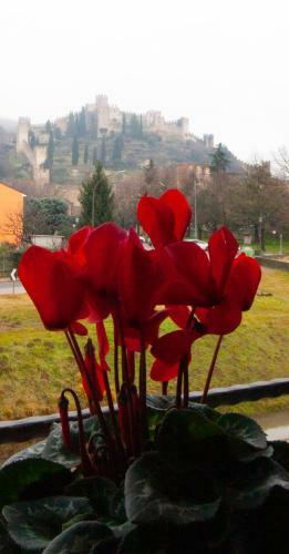 Hostal La Finestra Sul Castello