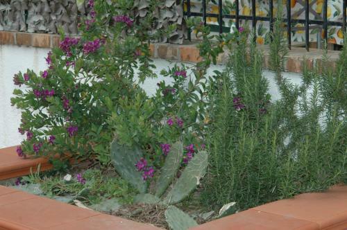B&B La Terrazza