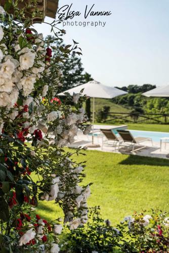 Apartamento Bilocale Di Villa S Marco Con Piscina