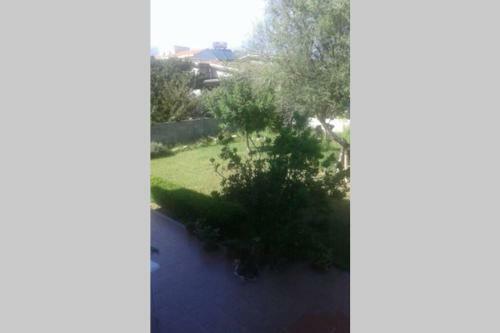 Apartamento Appartamento Accogliente
