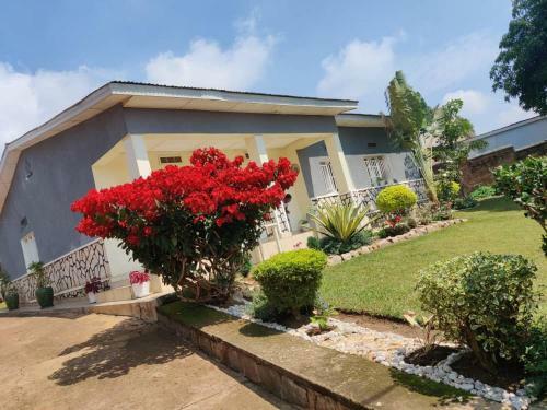 Hostal Joy25 Guest House