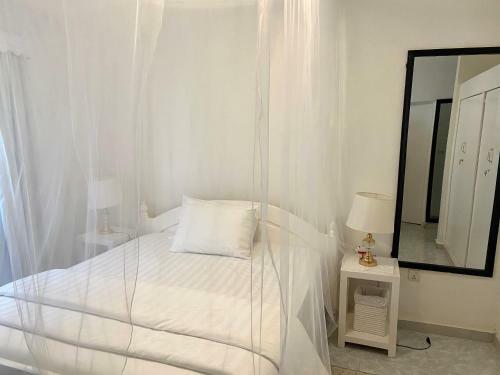 Hostal Blue Veil Villa