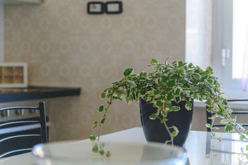 Apartamento Casa Da Santina - Trilocale Con Giardino