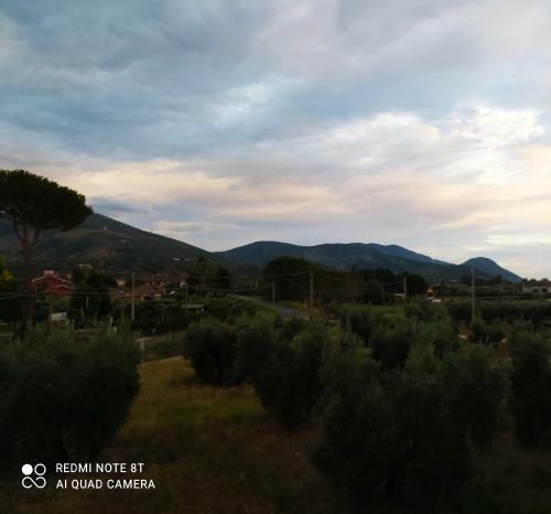 B&B Villa Sabrina