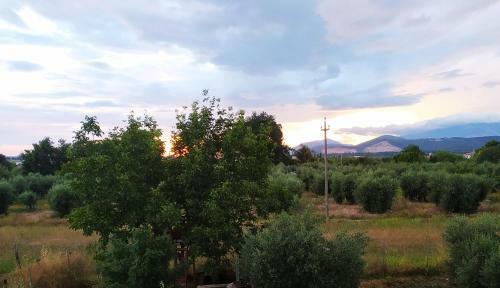 B&B Villa Sabrina