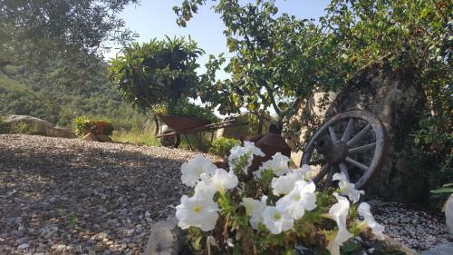 B&B Casa Vacanza Centro Sardegna